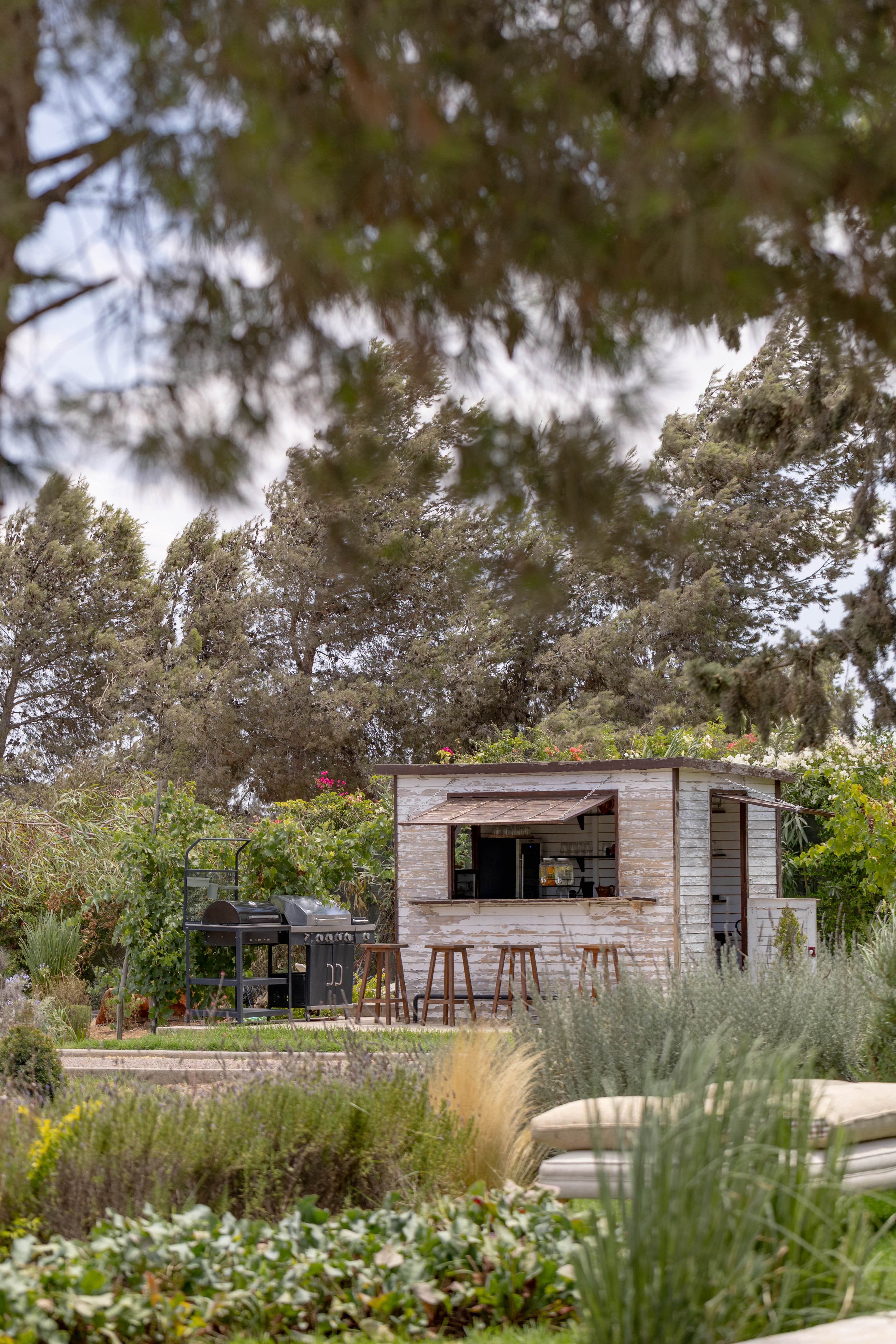 La cabane-bar en bois patiné et ses tabourets hauts, au fond du jardin sous les pins