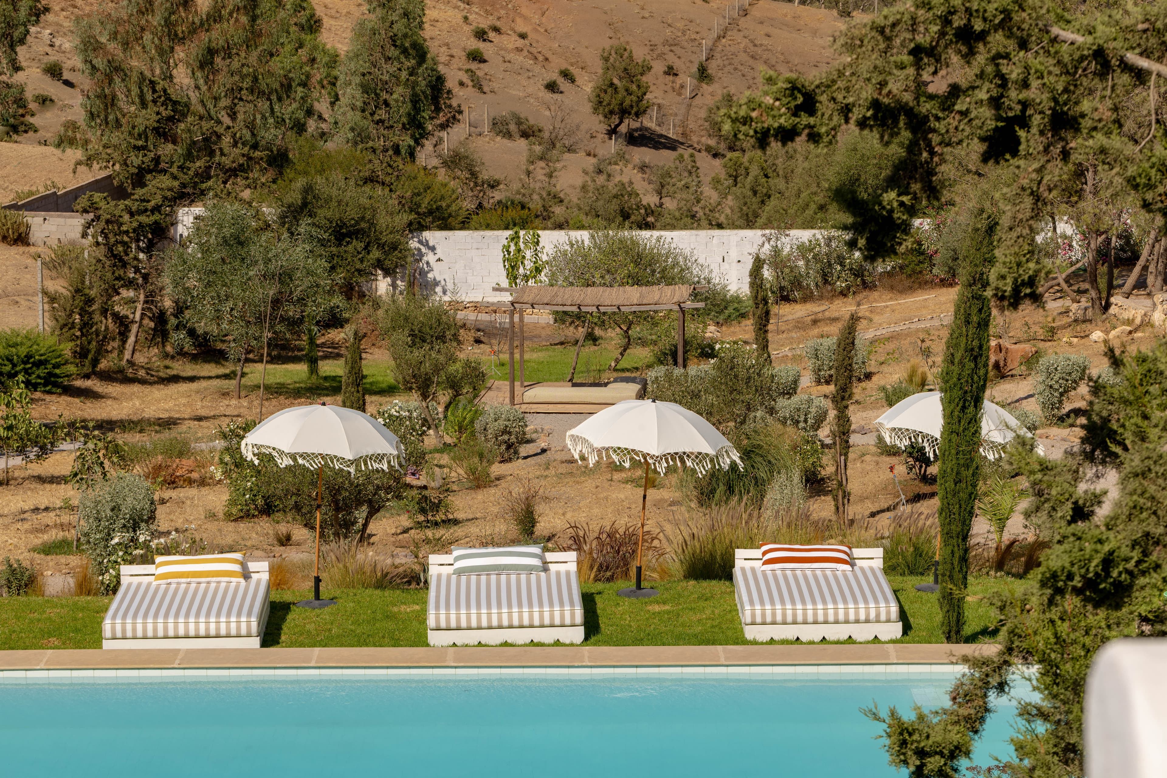 Trois lits de soleil rayés sous leurs parasols à franges, entre la piscine et la colline d'oliviers