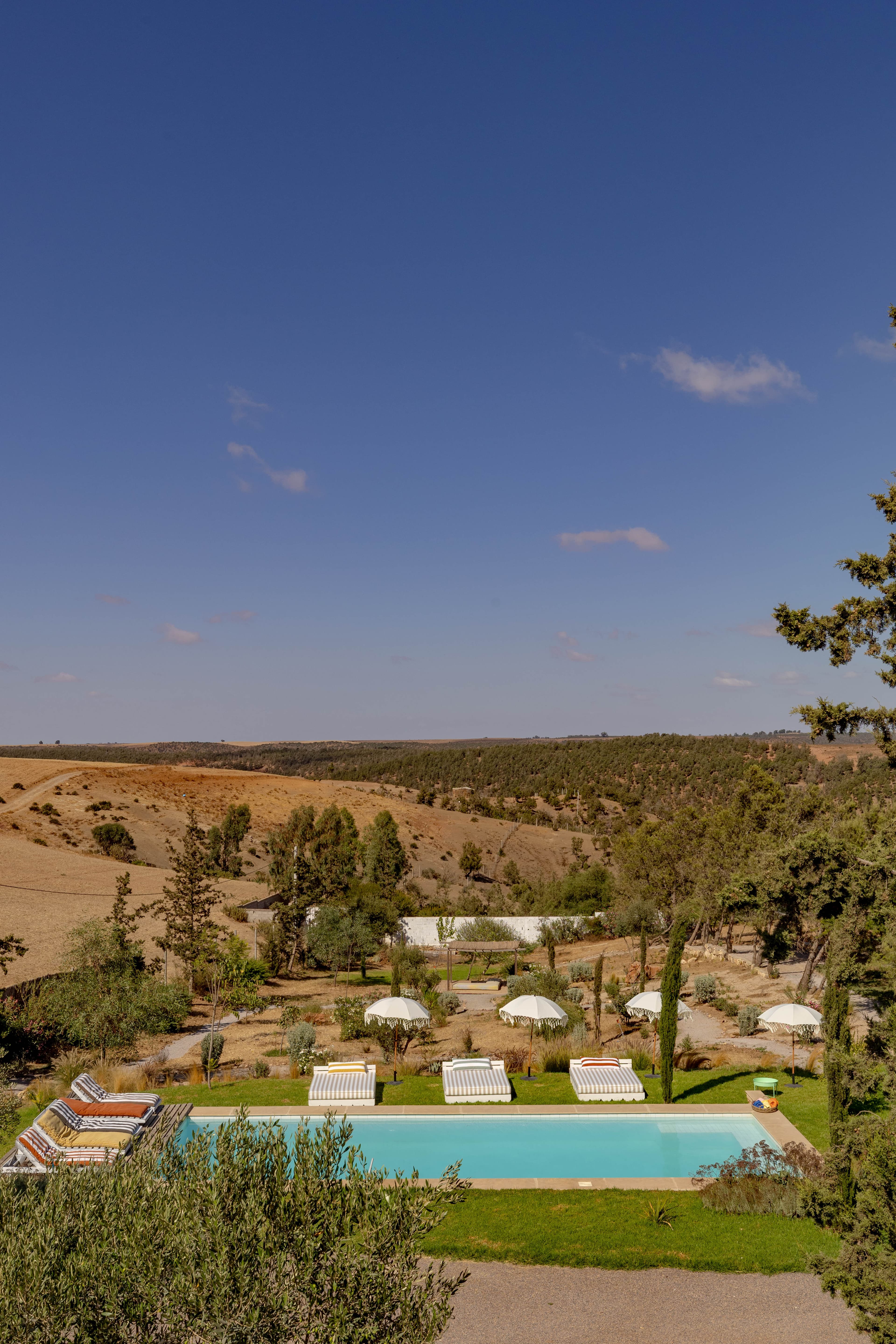 Les collines dorées et la forêt de Benslimane à perte de vue, au-delà des parasols et de la piscine du domaine