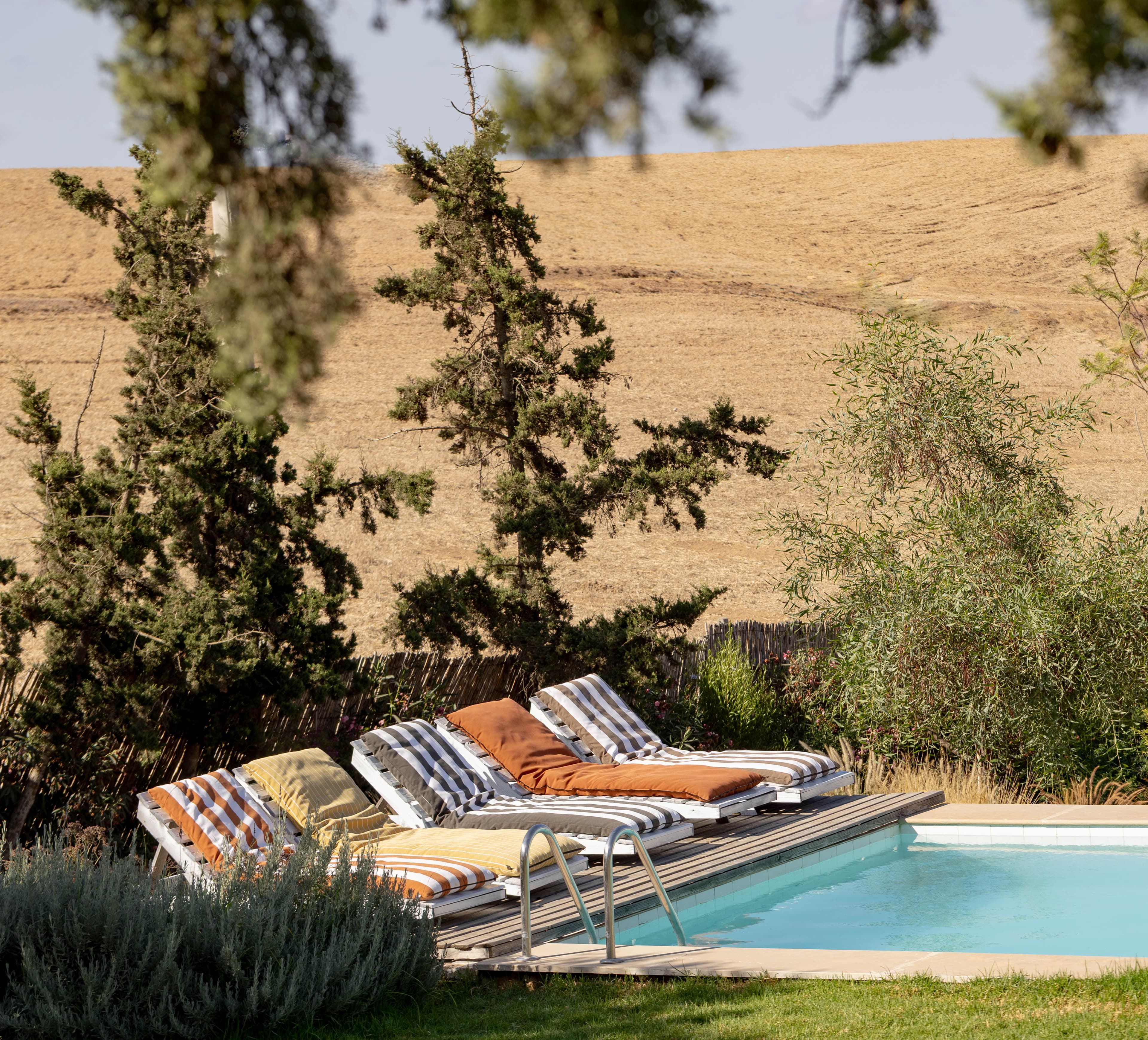 La piscine entourée de végétation, face à la colline dorée