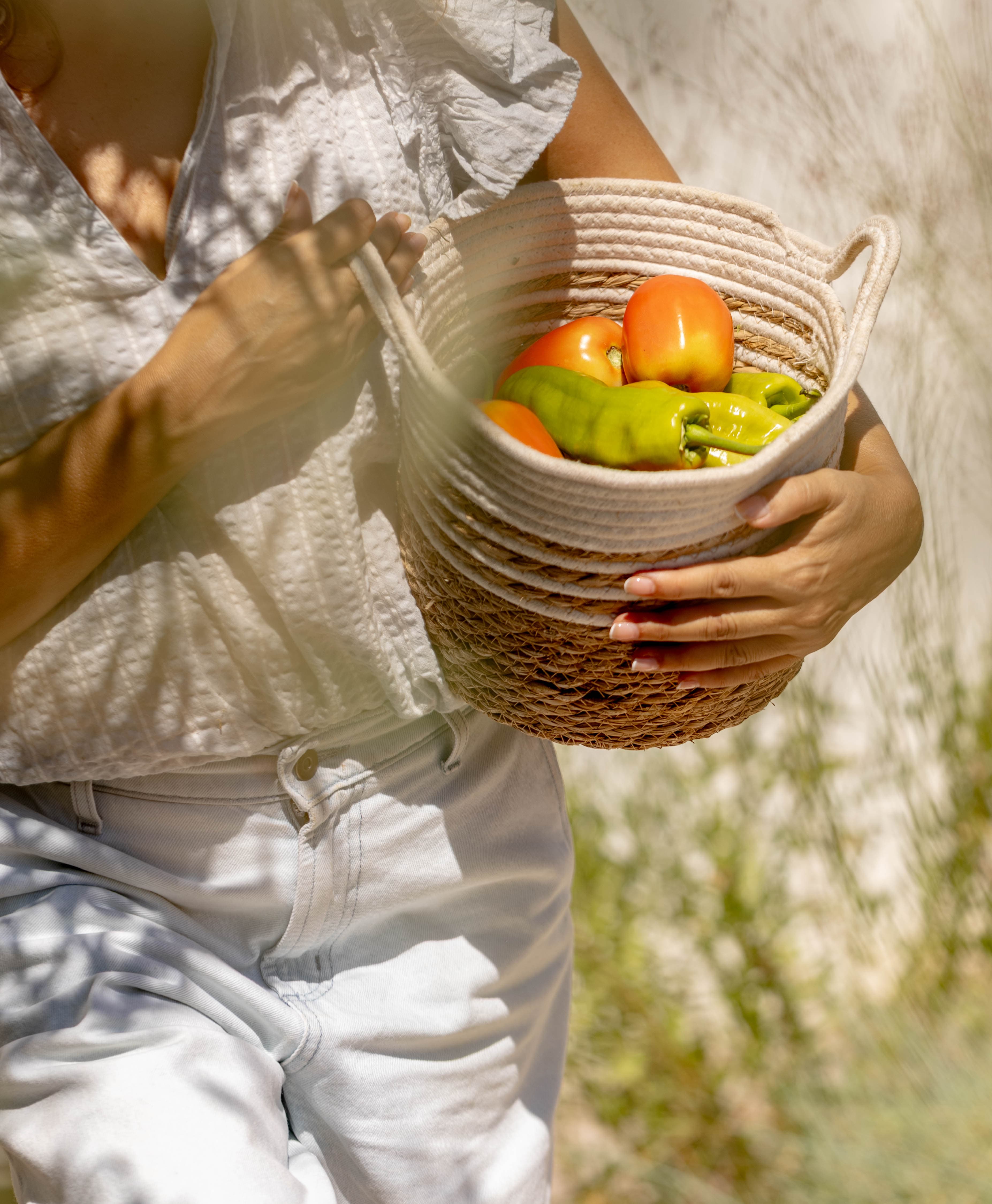 Le panier de poivrons et de tomates cueillis le matin, tenu dans la lumière du jardin