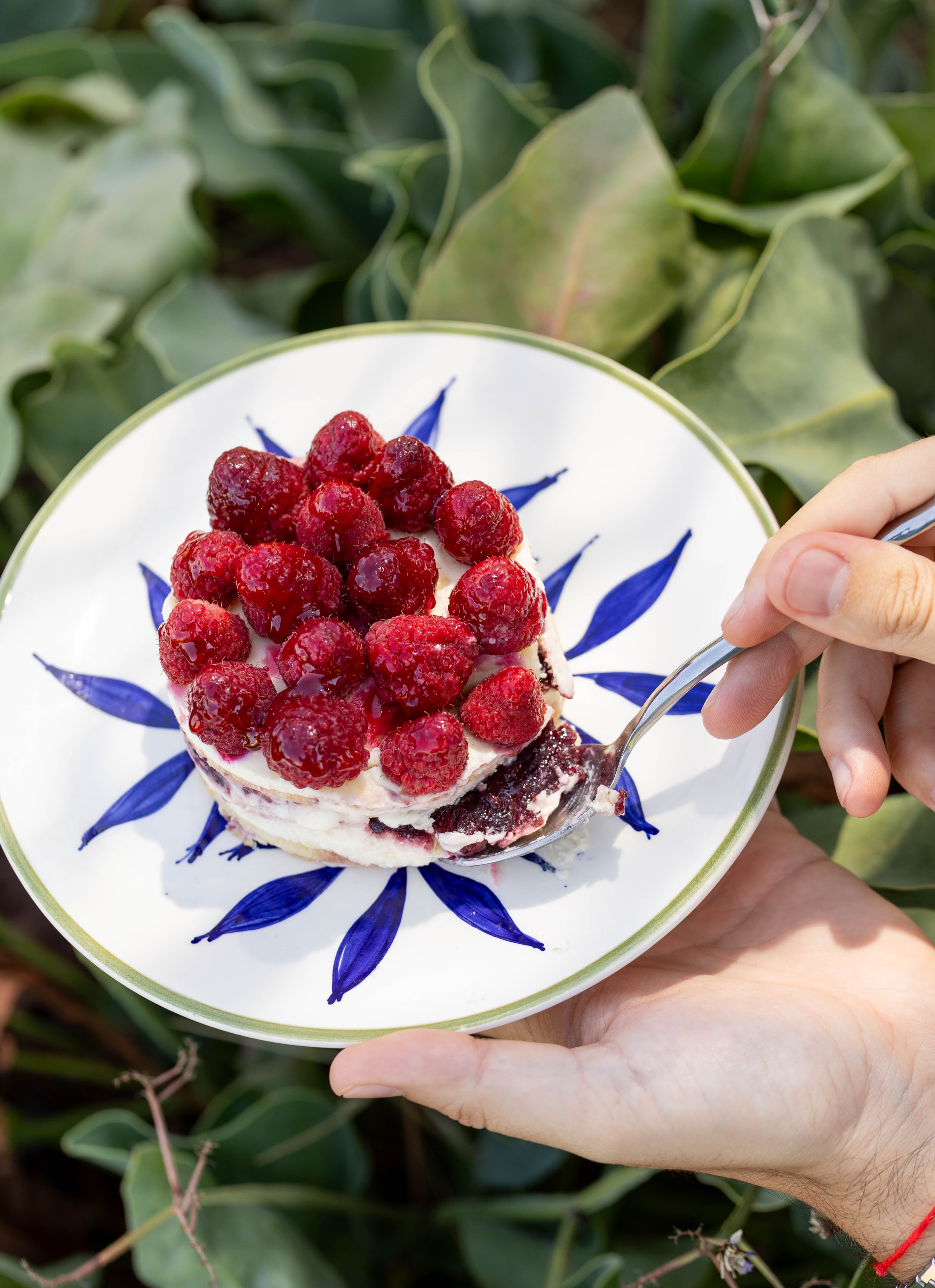 Gâteau aux framboises sur l'assiette aux feuilles bleues, tenu au-dessus du jardin